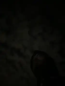 Snapshot of theone3121 chatting on October 15, 2025, 11:43 am theone3121 online show from October 15, 2025, 11:43 am