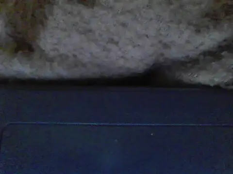 ursdreamperson online show from December 21, 2025, 5:09 pm