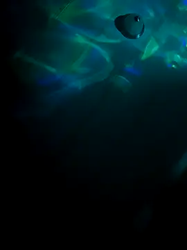 Snapshot of tyrek5051 chatting on October 31, 2025, 7:20 am tyrek5051 online show from October 31, 2025, 7:20 am