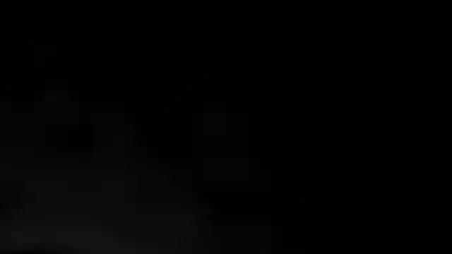 Snapshot of WILD_FIREE_ chatting on December 2, 2025, 8:15 pm WILD FIREE online show from December 2, 2025, 8:15 pm