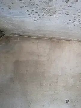 Snapshot of Sgaf39 chatting on September 26, 2025, 9:13 am Sgaf39 online show from September 26, 2025, 9:13 am