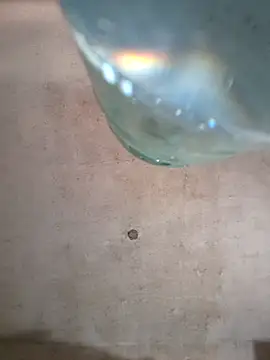 Snapshot of Sgaf39 chatting on October 6, 2025, 6:27 pm Sgaf39 online show from October 6, 2025, 6:27 pm