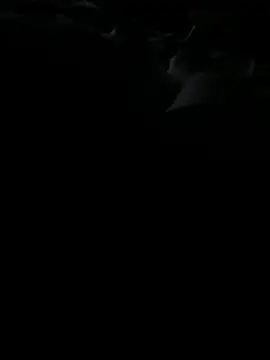 Reeelo online show from November 25, 2025, 3:17 am