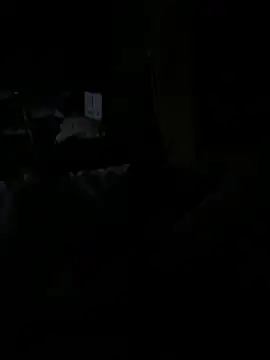 Reeelo online show from December 15, 2025, 4:06 am