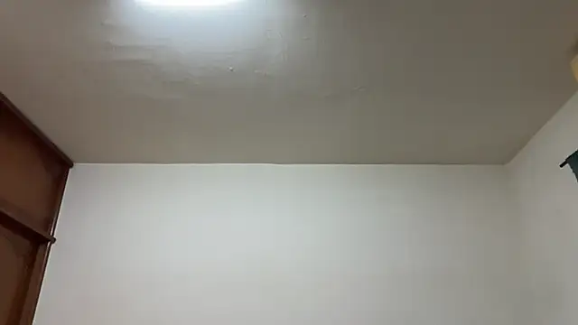 Foxfoxfox4 online show from February 17, 2026, 3:29 pm