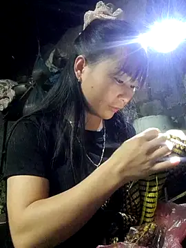 Sunyinn online show from November 3, 2025, 3:19 am