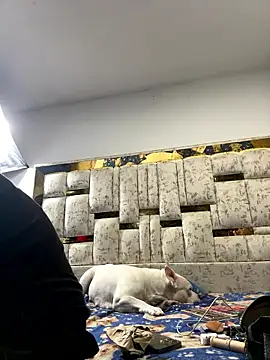 Snapshot of DayanaDG chatting on January 9, 2026, 5:54 am DayanaDG online show from January 9, 2026, 5:54 am