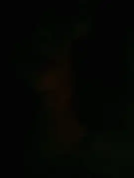 Snapshot of HellaWerlous chatting on January 12, 2026, 4:34 pm HellaWerlous online show from January 12, 2026, 4:34 pm