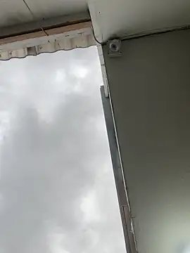 Sallem Pink online show from November 20, 2025, 11:10 am