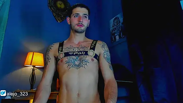 alejo  323   online show from December 2, 2025, 3:12 am