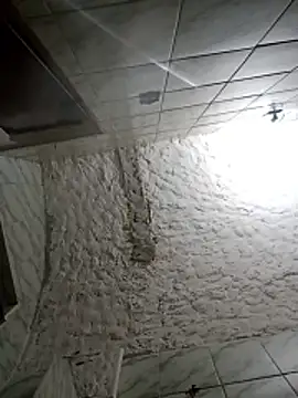 BrenoAvelar online show from December 21, 2025, 1:57 am