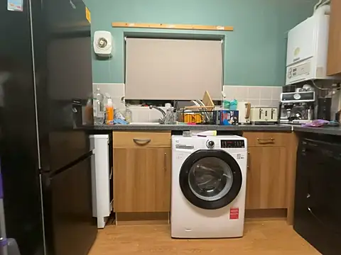 Snapshot of Dilfcam101 chatting on February 16, 2026, 10:50 pm Dilfcam101 online show from February 16, 2026, 10:50 pm