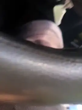 Frank0021 online show from November 4, 2025, 5:34 pm