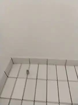 Ajayy01 online show from October 31, 2025, 7:42 am