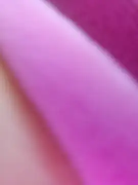 Snapshot of ShineBright88 chatting on October 30, 2025, 12:06 pm ShineBright88 online show from October 30, 2025, 12:06 pm