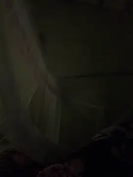 NhuFox online show from November 19, 2025, 2:17 pm