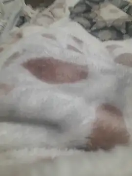 Snapshot of ratoncito_3 chatting on January 16, 2026, 5:50 pm ratoncito 3 online show from January 16, 2026, 5:50 pm