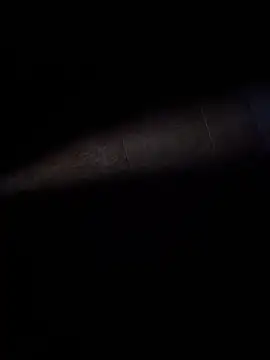 Snapshot of ratoncito_3 chatting on February 8, 2026, 2:37 am ratoncito 3 online show from February 8, 2026, 2:37 am