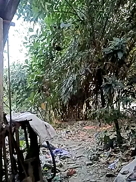 Hotty-rosni online show from November 27, 2025, 2:24 am