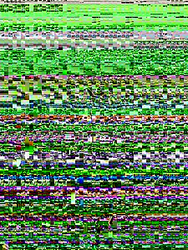 Snapshot of lynn9000 chatting on November 20, 2025, 5:18 am lynn9000 online show from November 20, 2025, 5:18 am