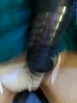 Snapshot of Bee_sweet chatting on February 22, 2026, 9:41 am Bee sweet online show from February 22, 2026, 9:41 am