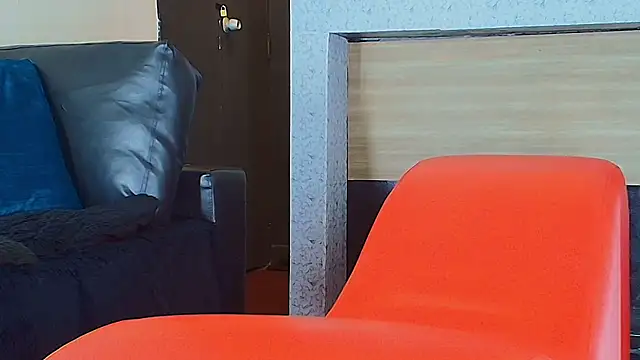 Snapshot of _DantFox_ chatting on November 7, 2025, 8:09 pm DantFox online show from November 7, 2025, 8:09 pm