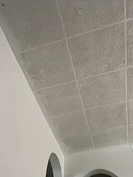 LICEET online show from September 25, 2025, 3:27 pm