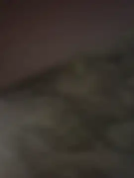 gigoloboymumbai00 online show from October 23, 2025, 8:07 pm