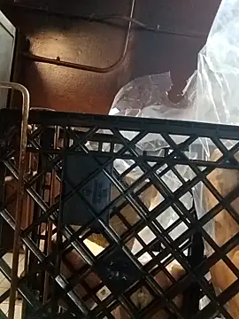 sarahkat86 online show from November 6, 2025, 12:22 am