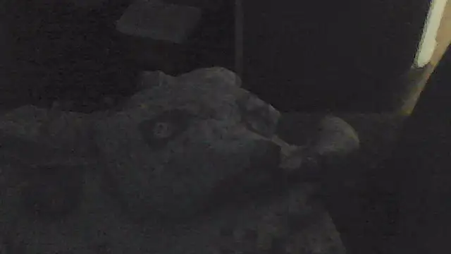 sarahkat86 online show from November 13, 2025, 2:05 pm