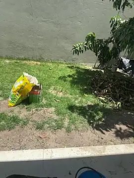 XUCRUTES42 online show from February 7, 2026, 3:27 pm