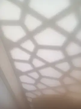 Snapshot of bullut06 chatting on February 4, 2026, 11:38 am bullut06 online show from February 4, 2026, 11:38 am