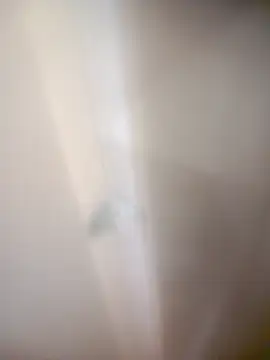 Snapshot of bullut06 chatting on February 20, 2026, 9:32 am bullut06 online show from February 20, 2026, 9:32 am