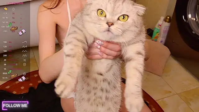 Snapshot of Angell_Wild chatting on November 24, 2025, 3:01 pm Angell Wild online show from November 24, 2025, 3:01 pm