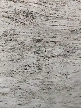 hot plak online show from November 29, 2025, 4:43 pm