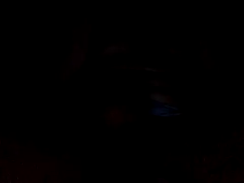 CaiBull online show from October 26, 2025, 8:48 pm