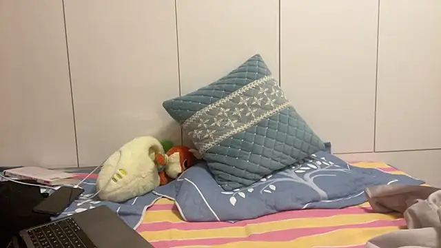 cily online show from February 21, 2026, 4:41 pm