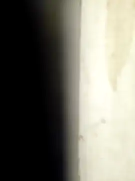 Sonalihot  online show from March 1, 2026, 1:46 pm