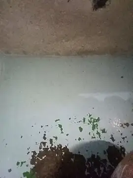 RandalHot online show from January 14, 2026, 4:18 am