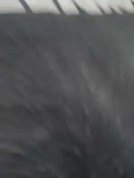 JuanitaMore01 online show from February 21, 2026, 10:22 pm