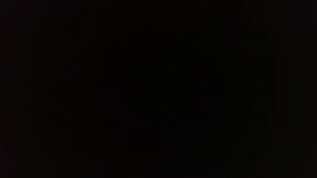 Terraelowen online show from April 9, 2026, 1:16 pm