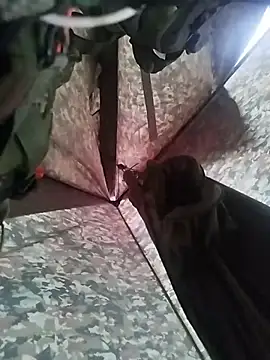 Snapshot of Alabestia12 chatting on November 5, 2025, 9:48 pm Alabestia12 online show from November 5, 2025, 9:48 pm