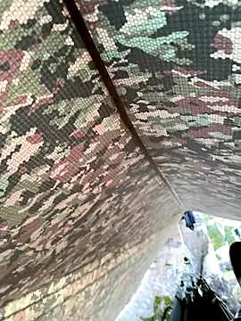 Snapshot of Alabestia12 chatting on November 11, 2025, 11:21 am Alabestia12 online show from November 11, 2025, 11:21 am