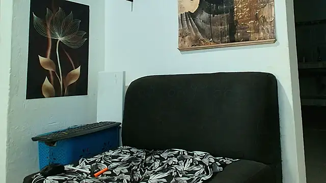 Patrick phoenix online show from January 12, 2026, 3:12 am