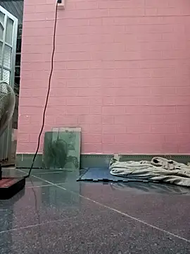 Rose 194 online show from October 26, 2025, 2:56 pm