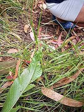 Snapshot of maxvergo chatting on April 15, 2026, 9:37 pm maxvergo online show from April 15, 2026, 9:37 pm