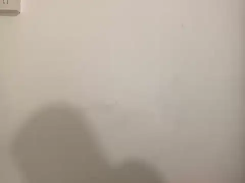 woodwork25 online show from April 21, 2026, 6:55 pm