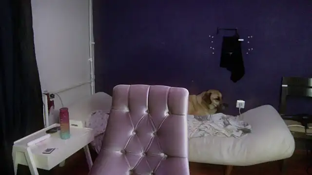 Snapshot of turkishTransEfsun chatting on October 2, 2025, 3:35 am turkishTransEfsun online show from October 2, 2025, 3:35 am