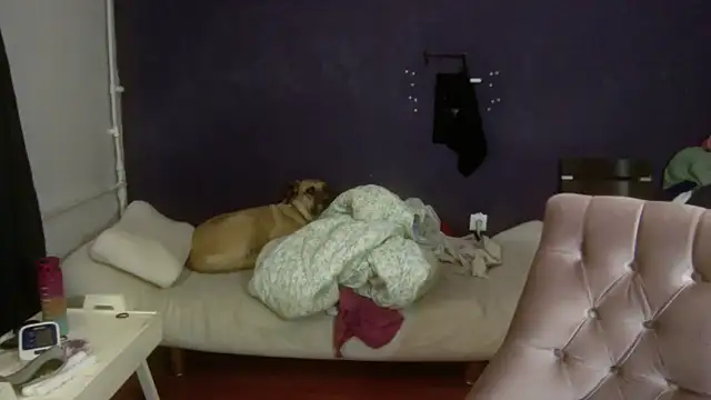 Snapshot of turkishTransEfsun chatting on November 3, 2025, 10:05 am turkishTransEfsun online show from November 3, 2025, 10:05 am