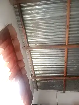 piipiipiipii online show from December 19, 2025, 1:07 pm